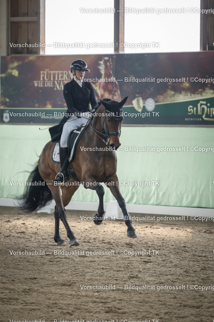 _D5A4840 | Emotionale Pferde- & People-Fotografie rund um Heidelberg, Leimen & Umgebung. Natürliche Fotos von Pferd, Mensch & Familie. Jetzt Termin sichern!