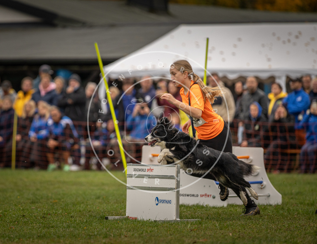 Pfotenfotografie_DV3A6573 | Hundefotografie, Tierfotograf, Pfotenfotografie, Fotoshooting Hund, Hunde Portrait, Hundesport, Hundeportraits, Heideshooting, Hunde, Sportfotograf, Hundefotograf, Turnierhundsport, THS,  - Realisiert mit Pictrs.com