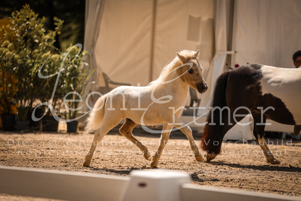 01.DoKR00080 | Leoni Ertmer Photography - Realisiert mit Pictrs.com