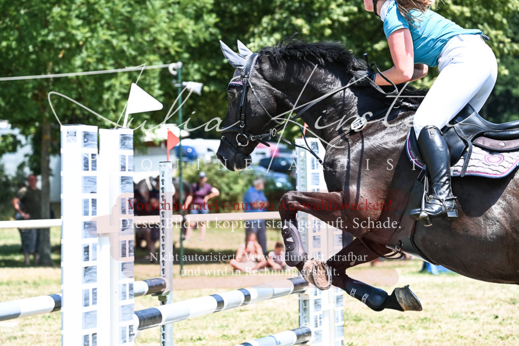 DSC_0064 | Pferde- und Turnierfotografie in Westsachsen. Pferdeportraits, Auftragszeichnungen und intuitive Kunst.