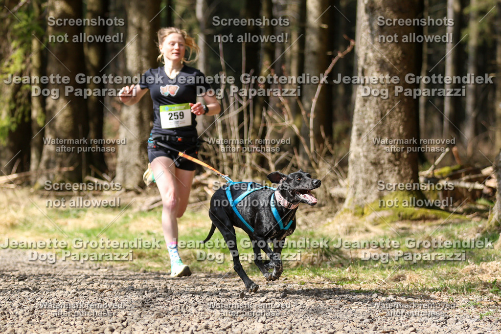 Dog Paparazzi - VCC26-359 | Dog Paparazzi Jeanette Grottendiek Fotografie & Videografie - Realisiert mit Pictrs.com