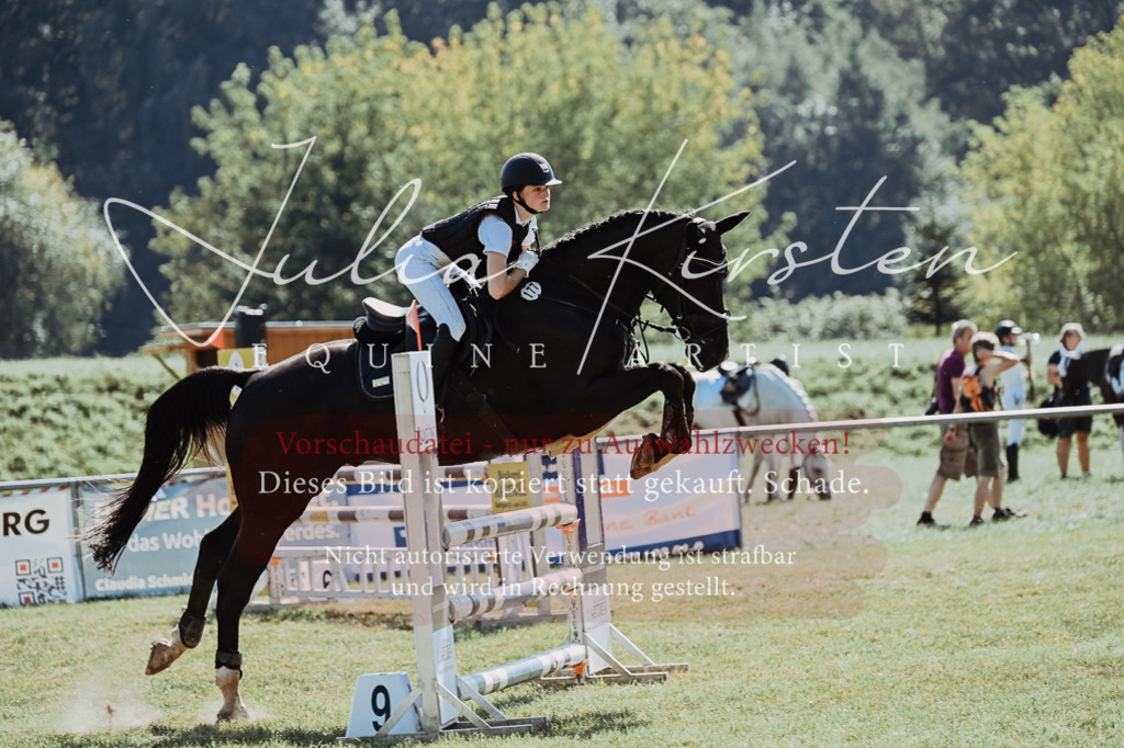 DSC_6019 | Pferde- und Turnierfotografie in Westsachsen. Pferdeportraits, Auftragszeichnungen und intuitive Kunst.