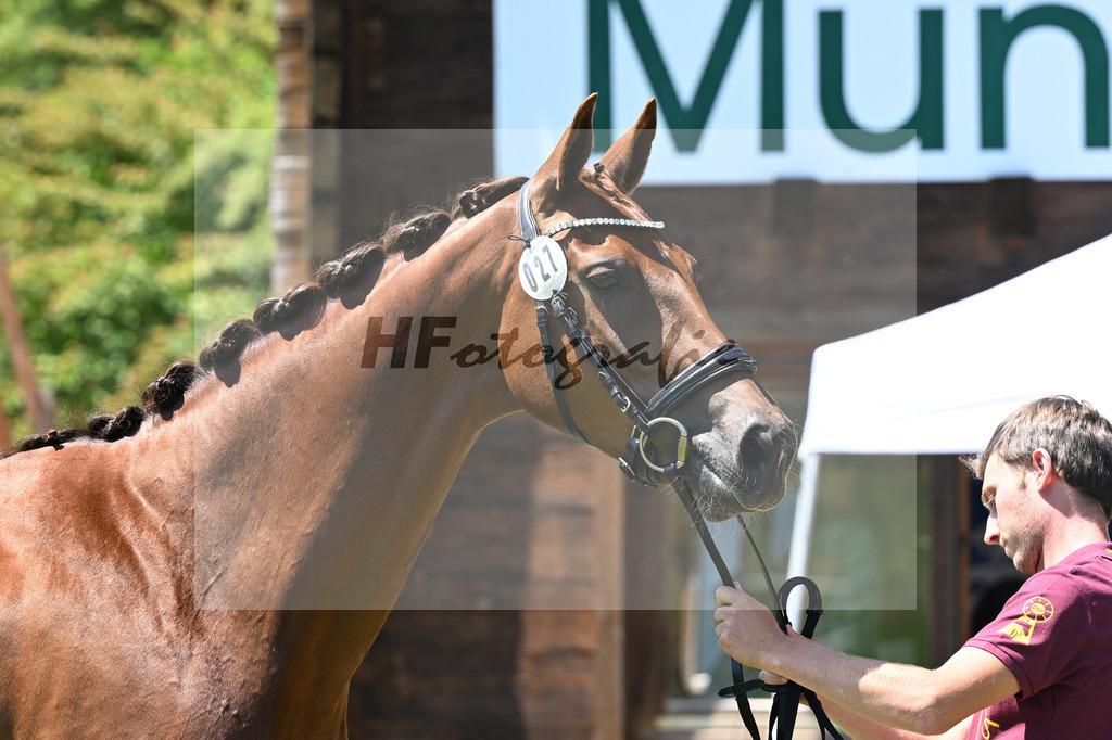 Kat-Nr. 27 Davina v. F-D avie_Luniak_19250514 | hf-fotografie - Realizzato con Pictrs.com