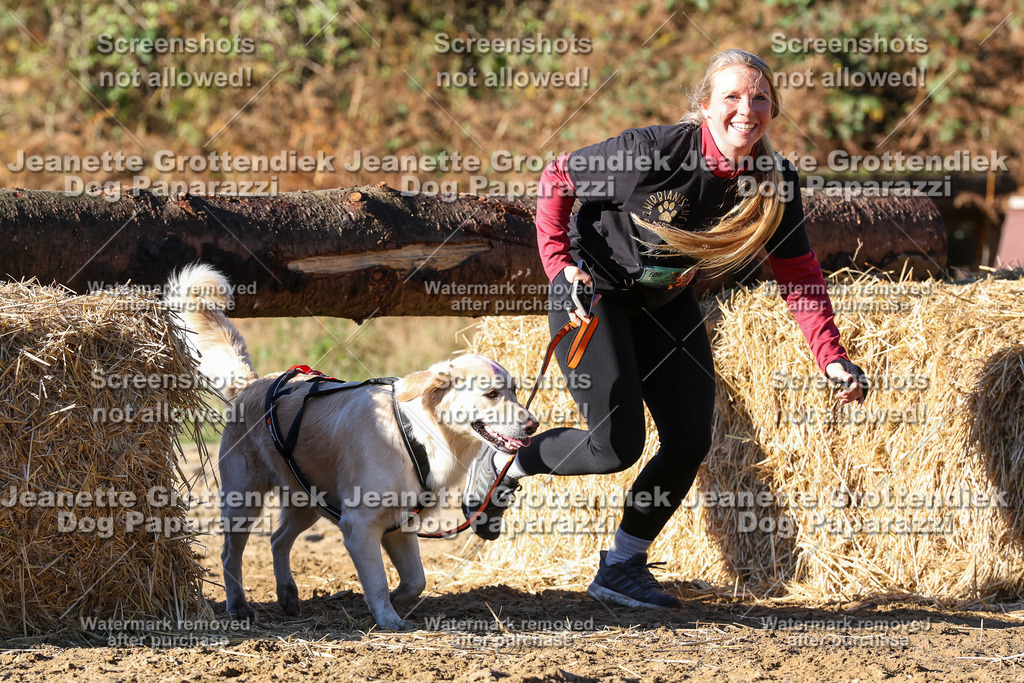 Dog Paparazzi - Strongdog 10-25-1716 | Dog Paparazzi Jeanette Grottendiek Fotografie & Videografie - Realisiert mit Pictrs.com