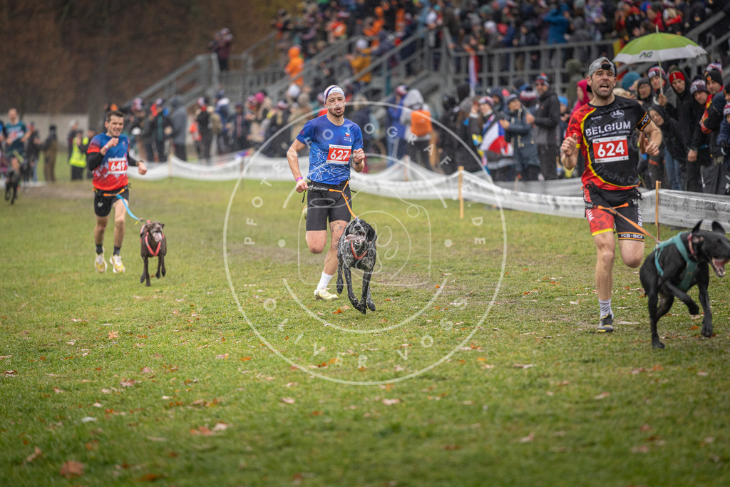 CaniXpix_DV3A9663 | Hundefotografie, Tierfotograf, Pfotenfotografie, Fotoshooting Hund, Hunde Portrait, Hundesport, Hundeportraits, Heideshooting, Hunde, Sportfotograf, Hundefotograf, Turnierhundsport, THS,  - Realisiert mit Pictrs.com