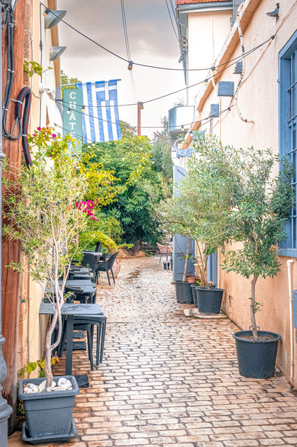 Kopfsteingepflasterte Gasse mit Pflanzen und Stühlen in Polis auf Zypern am Tag | Kopfsteingepflasterte Gasse mit Pflanzen und Stühlen in Polis auf Zypern am Tag