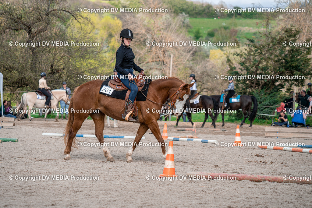 BAL02784 | dv-media-shop - Realisiert mit Pictrs.com