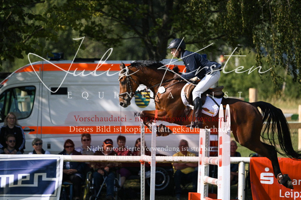 DSC_1241 | Pferde- und Turnierfotografie in Westsachsen. Pferdeportraits, Auftragszeichnungen und intuitive Kunst.