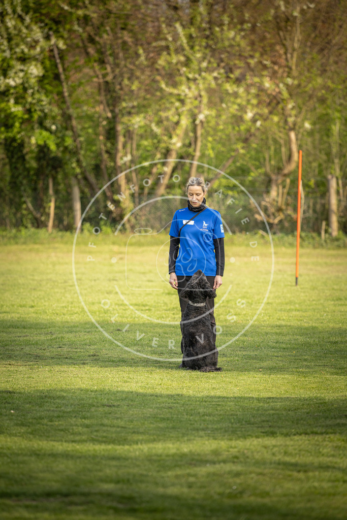 Pfotenfotografie_DV3A4801 | Hundefotografie, Tierfotograf, Pfotenfotografie, Fotoshooting Hund, Hunde Portrait, Hundesport, Hundeportraits, Heideshooting, Hunde, Sportfotograf, Hundefotograf, Turnierhundsport, THS,  - Realisiert mit Pictrs.com