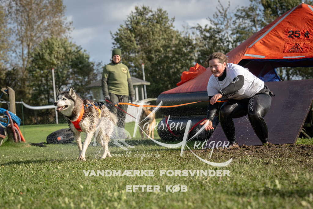 1408-93752 | kk-dogfotos