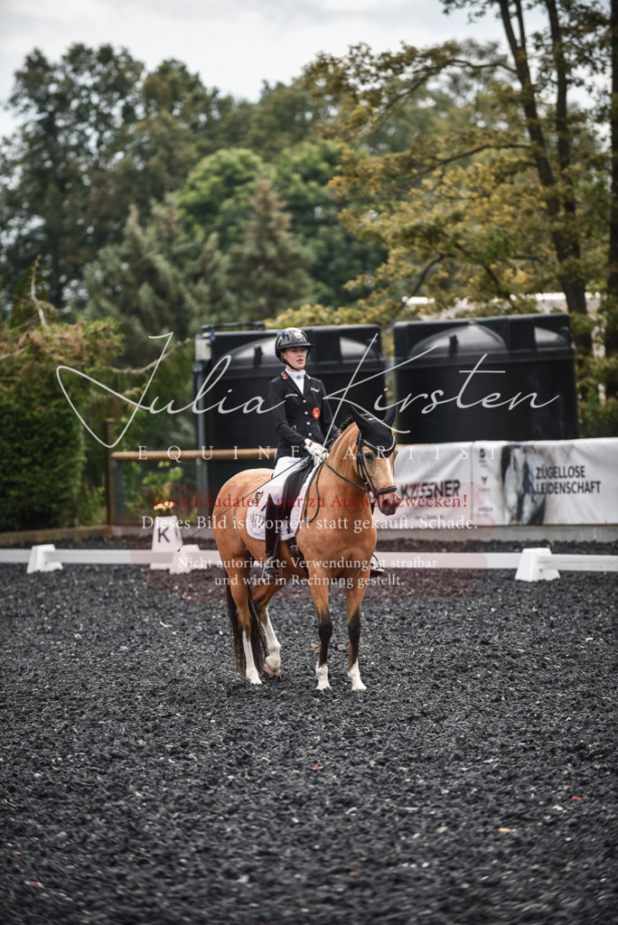 DSC_4404 | Pferde- und Turnierfotografie in Westsachsen. Pferdeportraits, Auftragszeichnungen und intuitive Kunst.