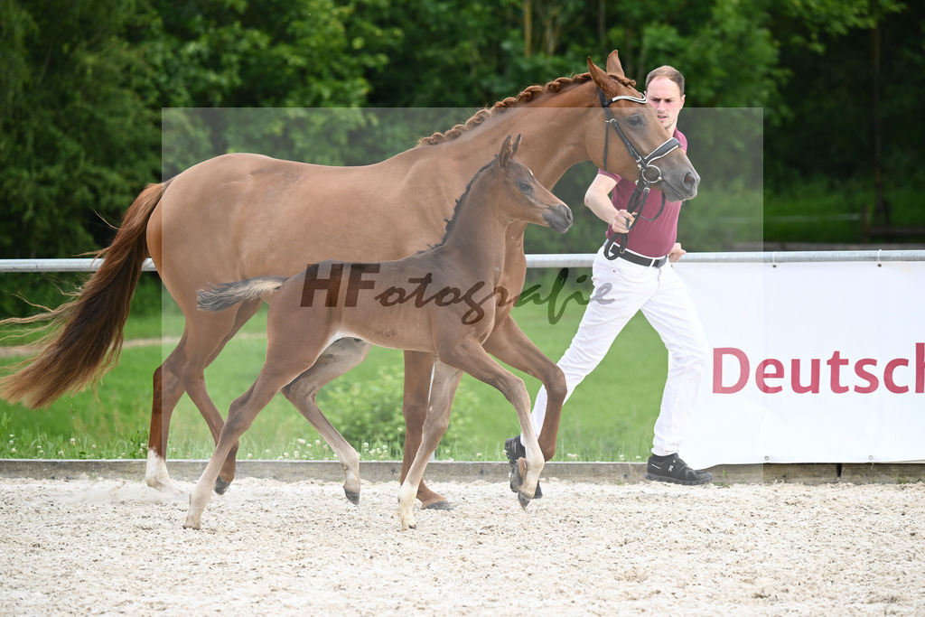 Tie Break x Vivino_HF_Niethammer_20241183 | hf-fotografie - Realisiert mit Pictrs.com