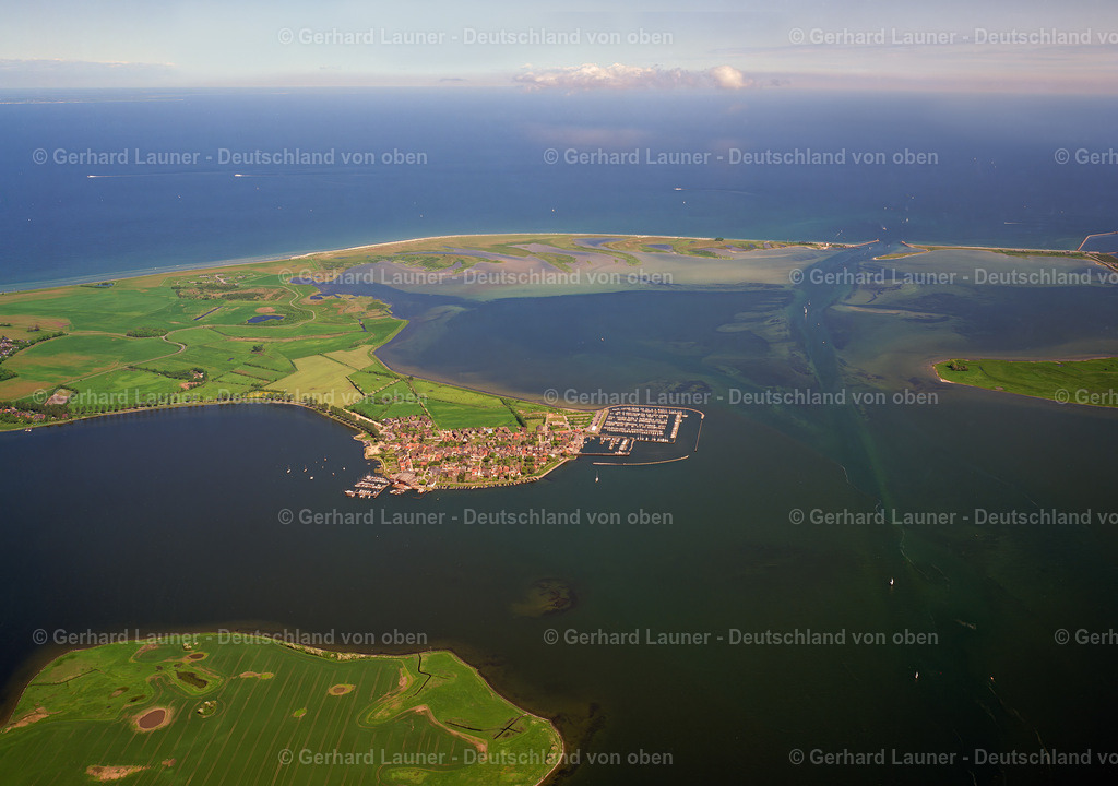 9100751 | Maasholm 1994