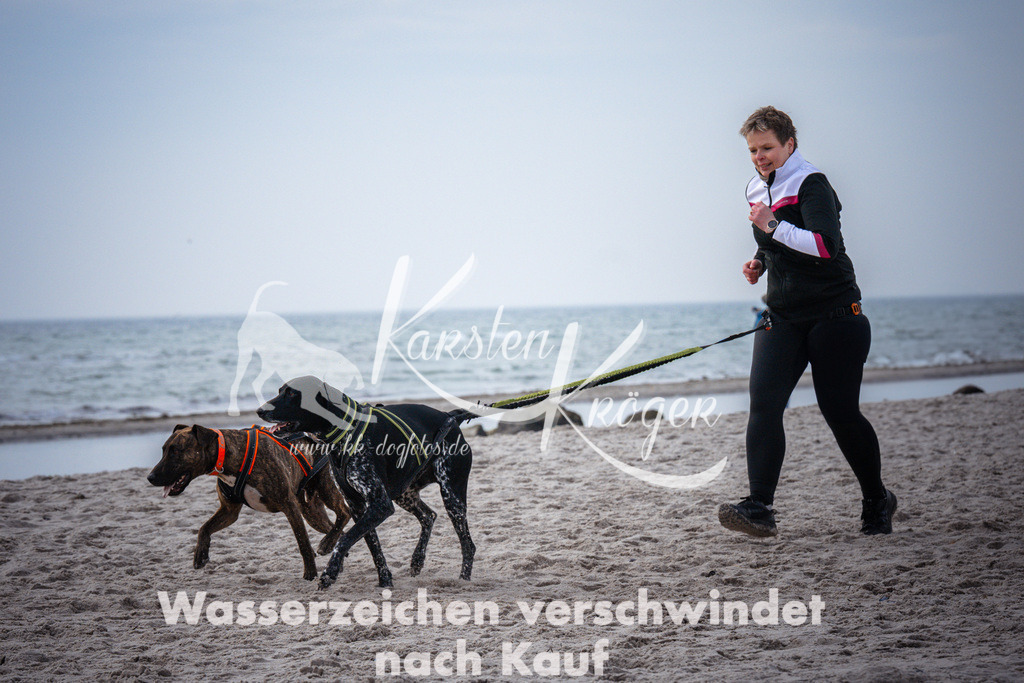 1043_ZZ96261 | kk-dogfotos