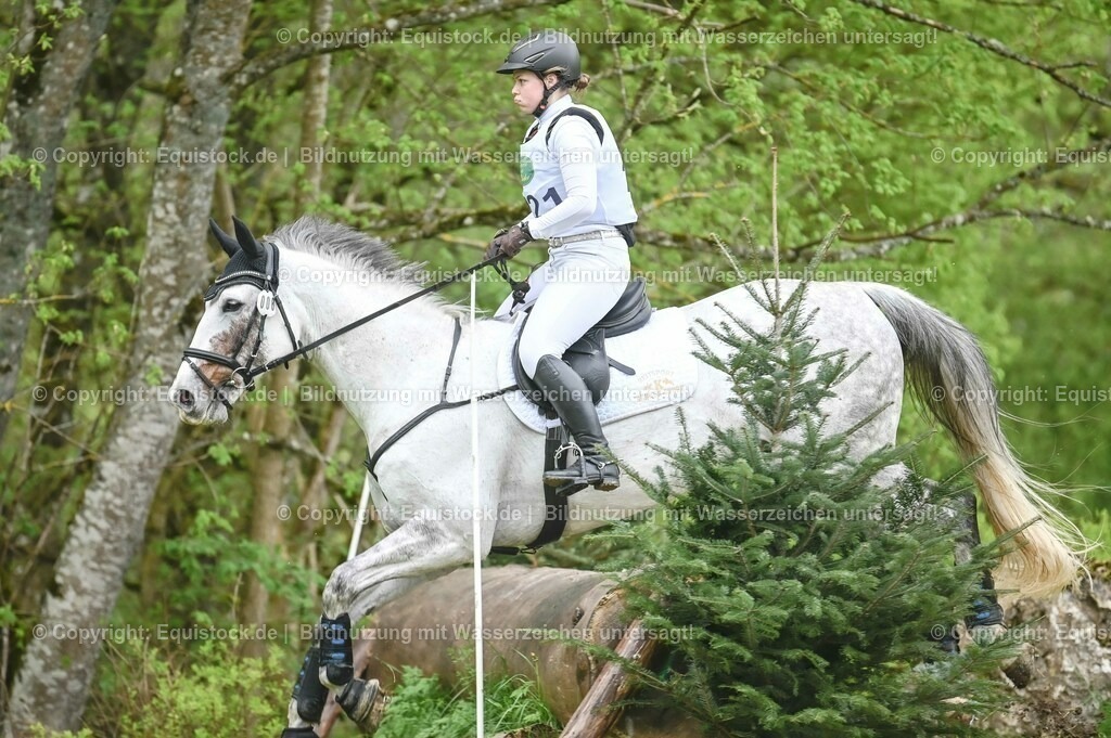 20230513_CCI2_Section2_Gelände_0277 | equistock