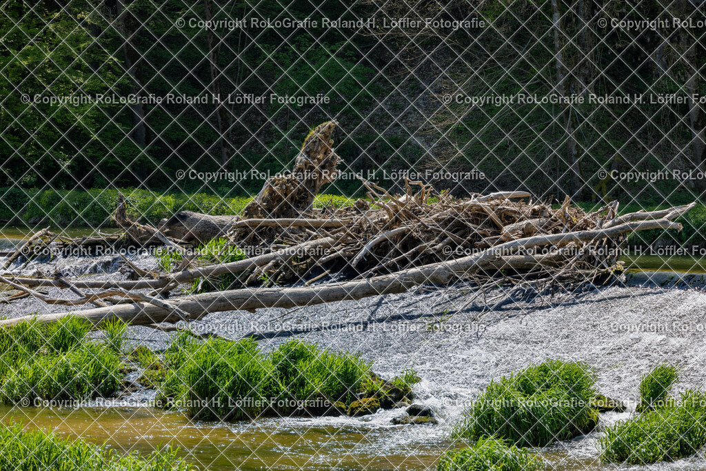 Donau-Donautal-17 | IPTC Infos - Realisiert mit Pictrs.com