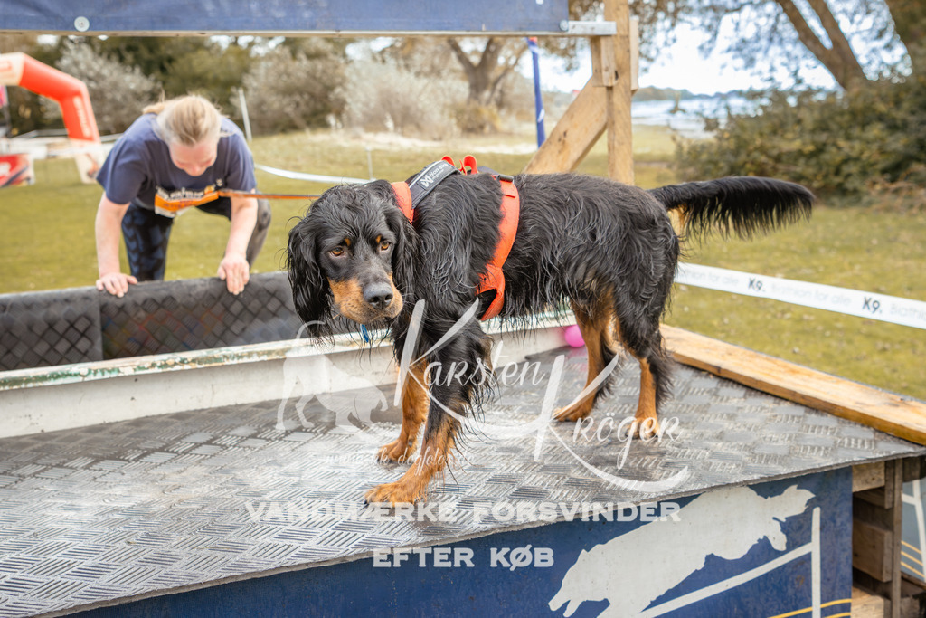 1347_ZZ92214-2 | kk-dogfotos