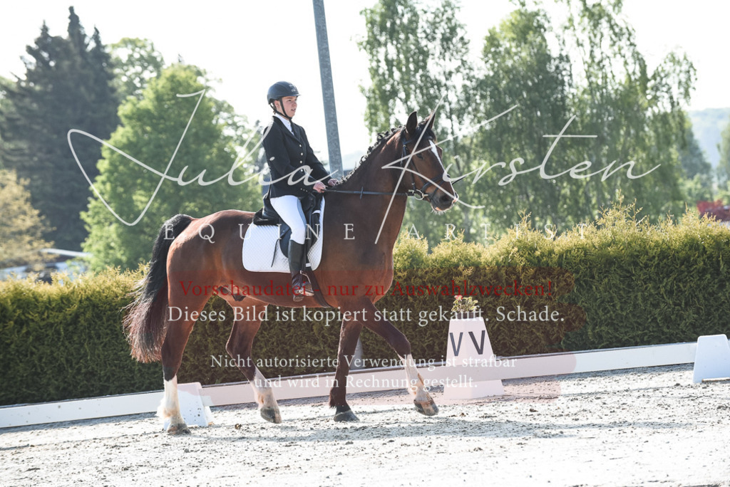 20230518_JK-Röhrsdorf-09-0686 | Pferde- und Turnierfotografie in Westsachsen. Pferdeportraits, Auftragszeichnungen und intuitive Kunst.