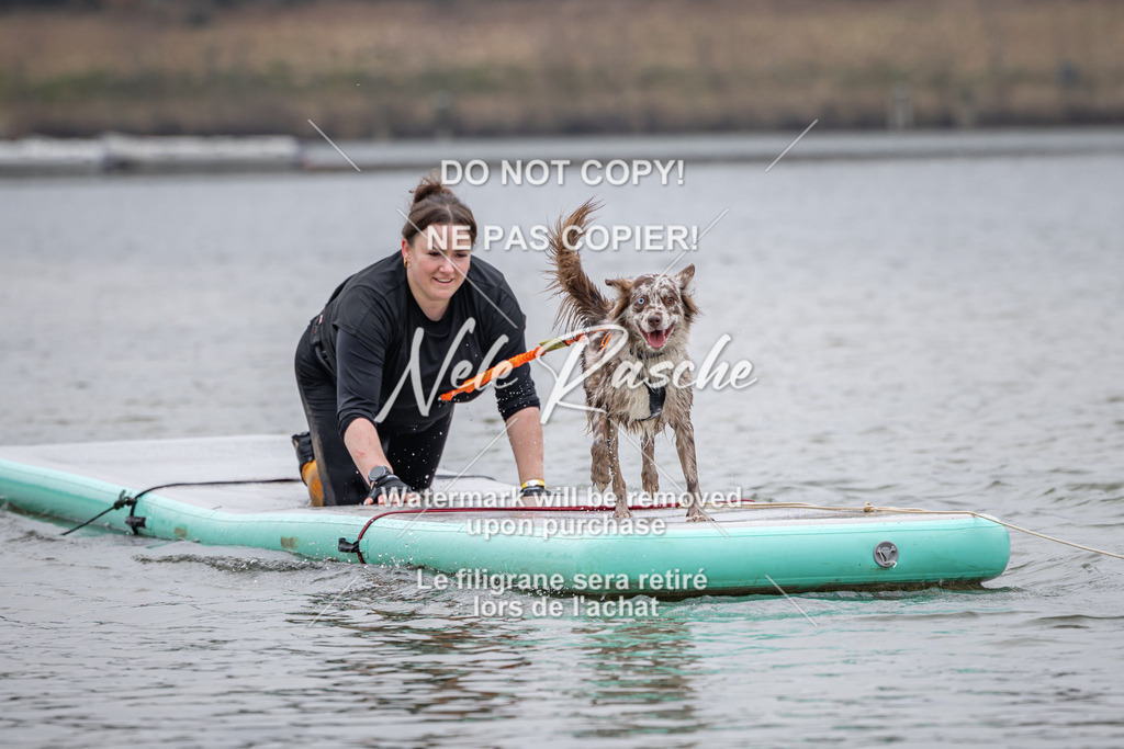 nelerasche_Hulsbeek_Sa1330-1430_475 | nelerasche