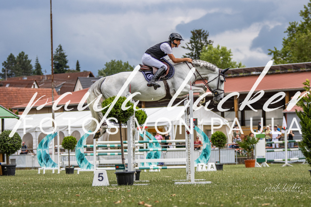 IMG_7230 | Erleben Sie dynamische Sport- und emotionale Tierfotografie in Süddeutschland mit Fotos von Paula. Spezialisiert auf Pferde- und Hundefotografie sowie Sportevents. Kontaktieren Sie mich für einzigartige und ausdrucksstarke Bilder Ihrer besonderen Momente.