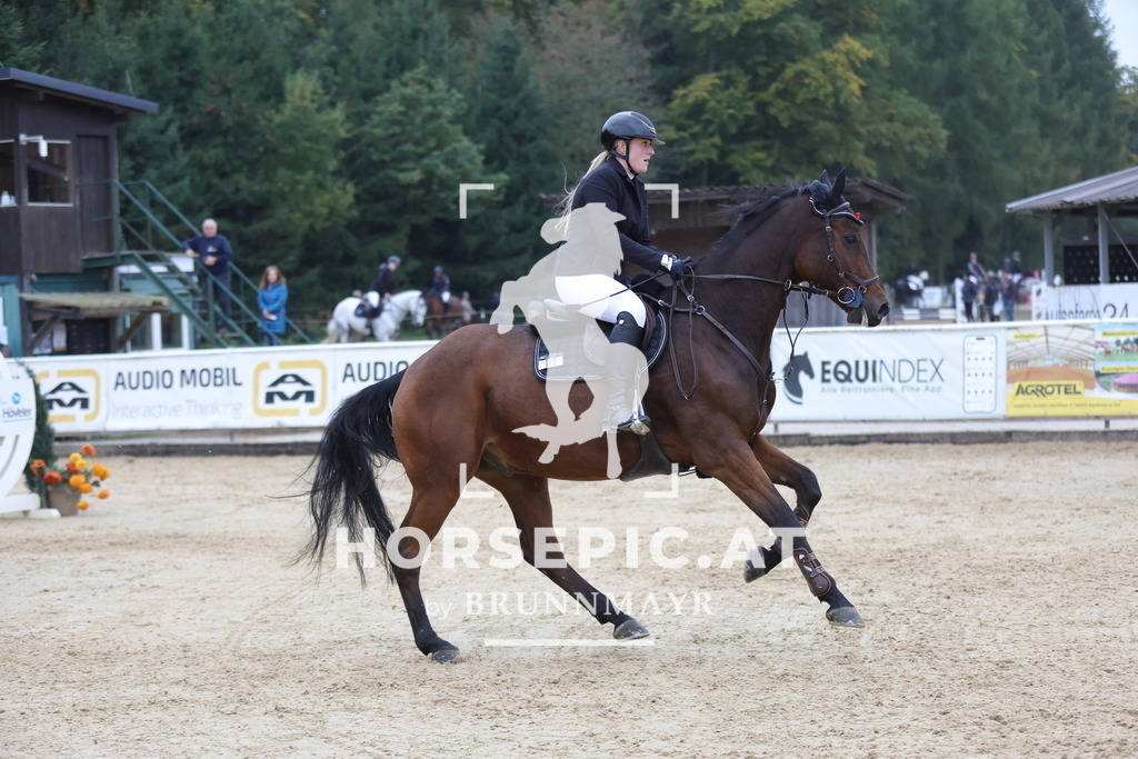 0P6A6582 | Willkommen bei Brunnmayr - Design & Fotografie – Ihrem Spezialisten für Reitturniere und Pferdeveranstaltungen in Oberösterreich, Salzburg und Bayern! Seit über 17 Jahren sind wir leidenschaftlich dabei.