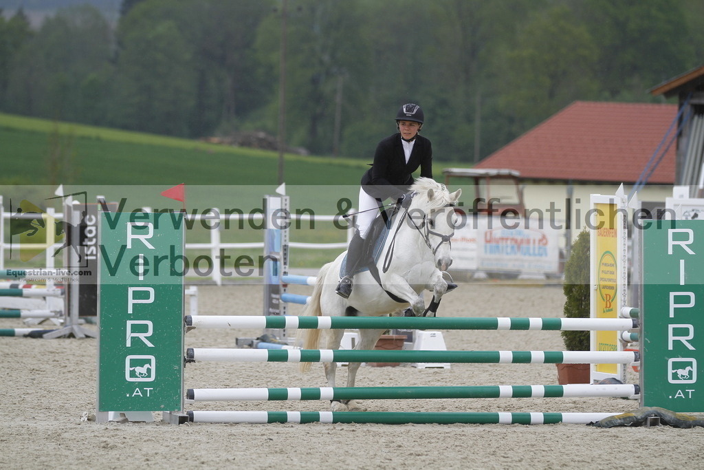 _MG_3981 | equestrian-live-com