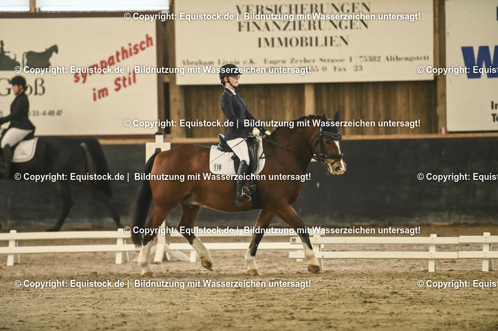 20231029_04_Dressur-WB_0147 | Foto: Thomas Hartig