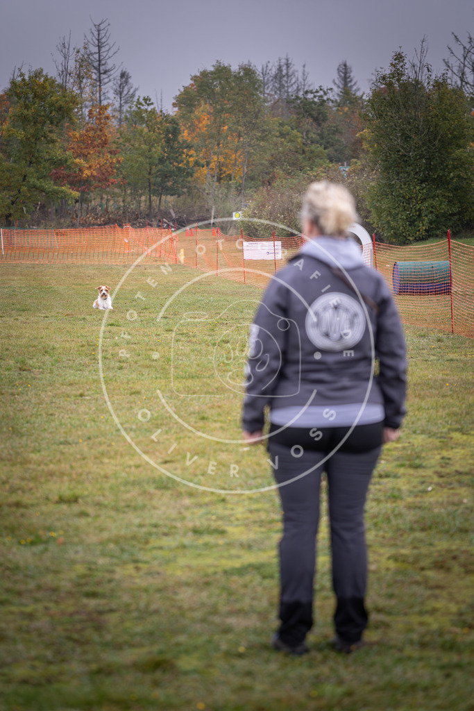 Pfotenfotografie_DV3A9212 | Hundefotografie, Tierfotograf, Pfotenfotografie, Fotoshooting Hund, Hunde Portrait, Hundesport, Hundeportraits, Heideshooting, Hunde, Sportfotograf, Hundefotograf, Turnierhundsport, THS,  - Realisiert mit Pictrs.com