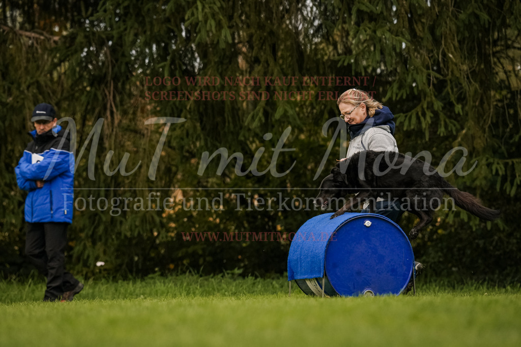 20251005_THS_Turnier-689 | MuT (Mensch und Tier) mit Mona - Fotografie und Tierkommunikation - Realisiert mit Pictrs.com