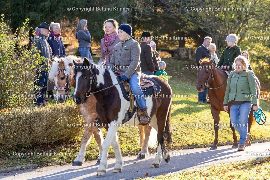 LL24-216 | foto-bettina-krinner - Realisiert mit Pictrs.com