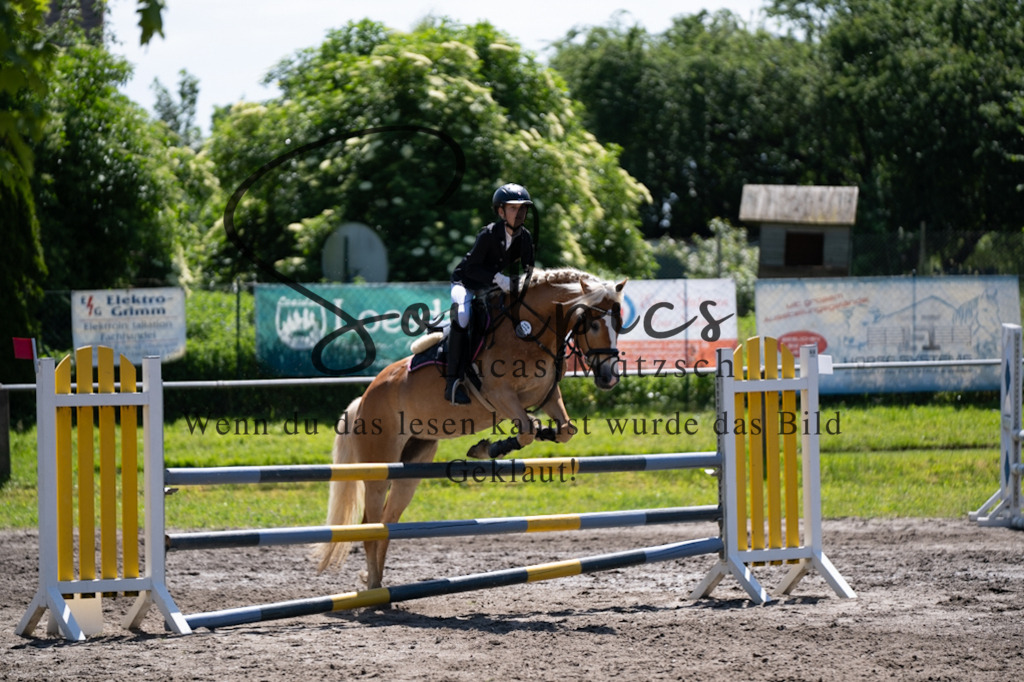 A7V04319 | Pferdefotograf