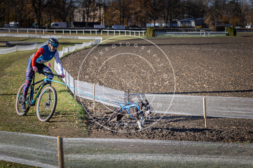 CaniXpix_DV3A6168 | Hundefotografie, Tierfotograf, Pfotenfotografie, Fotoshooting Hund, Hunde Portrait, Hundesport, Hundeportraits, Heideshooting, Hunde, Sportfotograf, Hundefotograf, Turnierhundsport, THS,  - Realisiert mit Pictrs.com