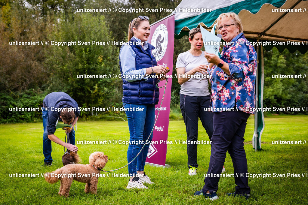 Sven Pries | 2024-09-22 - Hunderennen Baden-BadenPudelverein - Realisiert mit Pictrs.com