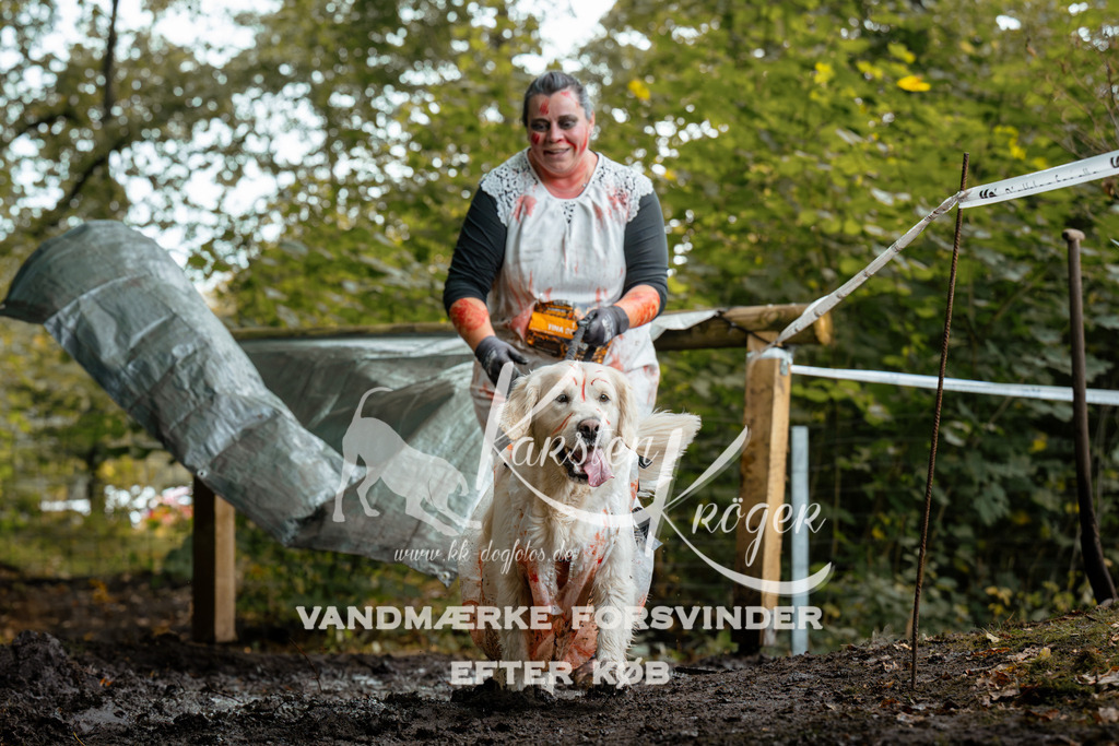 1428DZ6_2497Z6 | kk-dogfotos