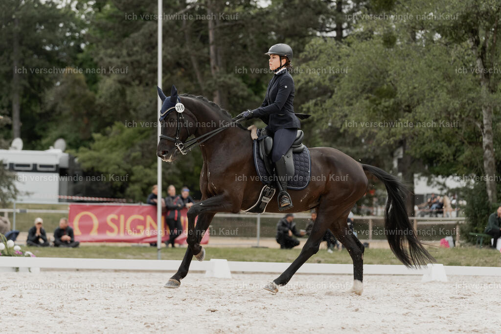 WE_DR_Stoib_316_PI2025_445 | Pferd International München 2025