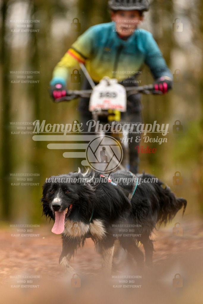 MompixPhotography_Habay2024_SA_Scooter-37 | PayLife
