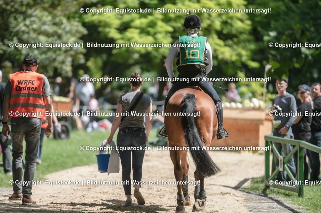 DSC_8071 | equistock