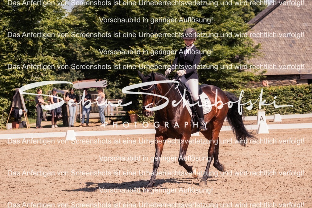 2025_05_31_DSCF3087 | People- und Tierfotografie, Imageaufnahmen, Veranstaltungsfotografie und Wandbilder aus der Natur ★ Made in Germany ✔️ Druck + Downloads ✔️ Naturfotografie in Top Qualität ★ schneller Versand, weltweite Lieferung! - Realisiert mit Pictrs.com