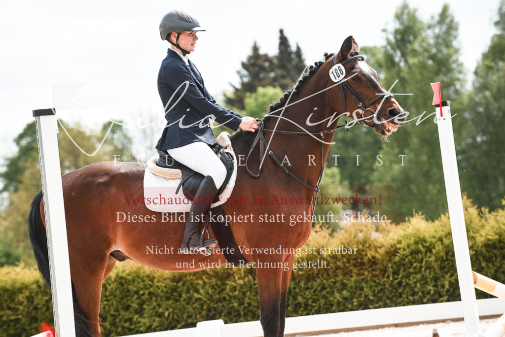 20230518_JK-Röhrsdorf-10-056 | Pferde- und Turnierfotografie in Westsachsen. Pferdeportraits, Auftragszeichnungen und intuitive Kunst.