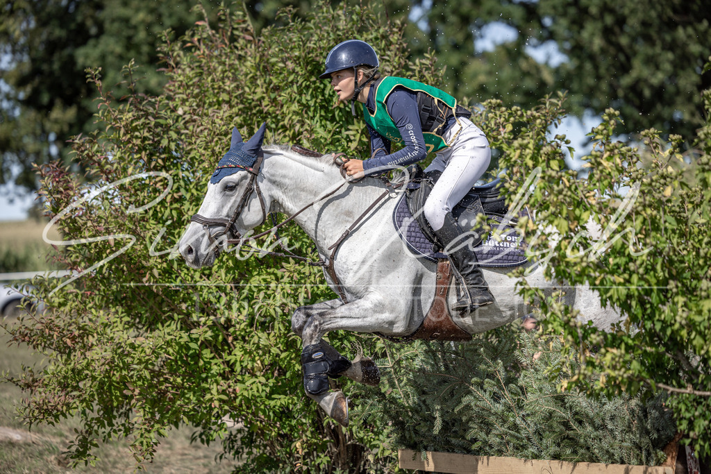 20250907-_3LI1965 | Tierfotografie Pferde, Hunde, Katzen, Haustiere.
Turnierfotografie Reitturniere, Reiten, Springreiten, Dressur in Hanau, dem Main-Kinzig-Kreis und dem Rhein-Main- Gebiet um Frankfurt