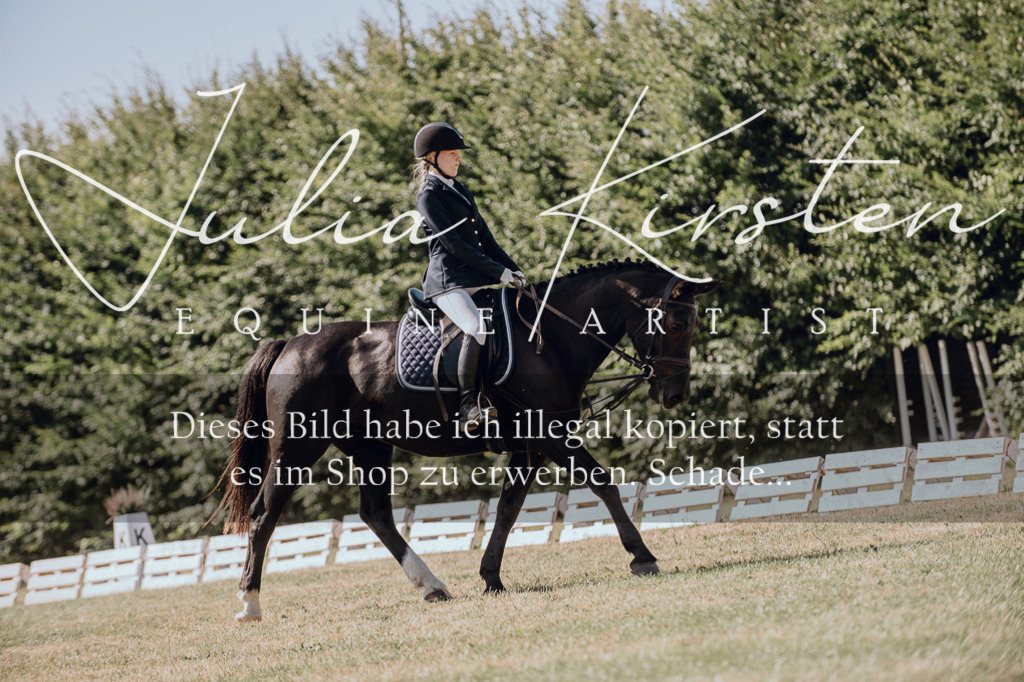 DSC_7193 | Pferde- und Turnierfotografie in Westsachsen. Pferdeportraits, Auftragszeichnungen und intuitive Kunst.