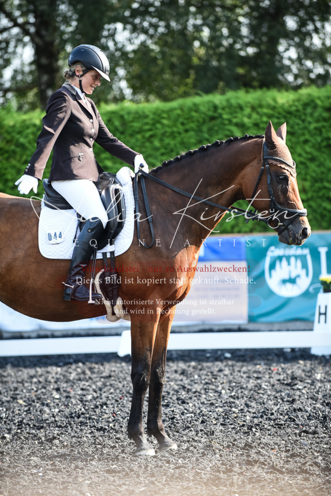 DSC_3245 | Pferde- und Turnierfotografie in Westsachsen. Pferdeportraits, Auftragszeichnungen und intuitive Kunst.