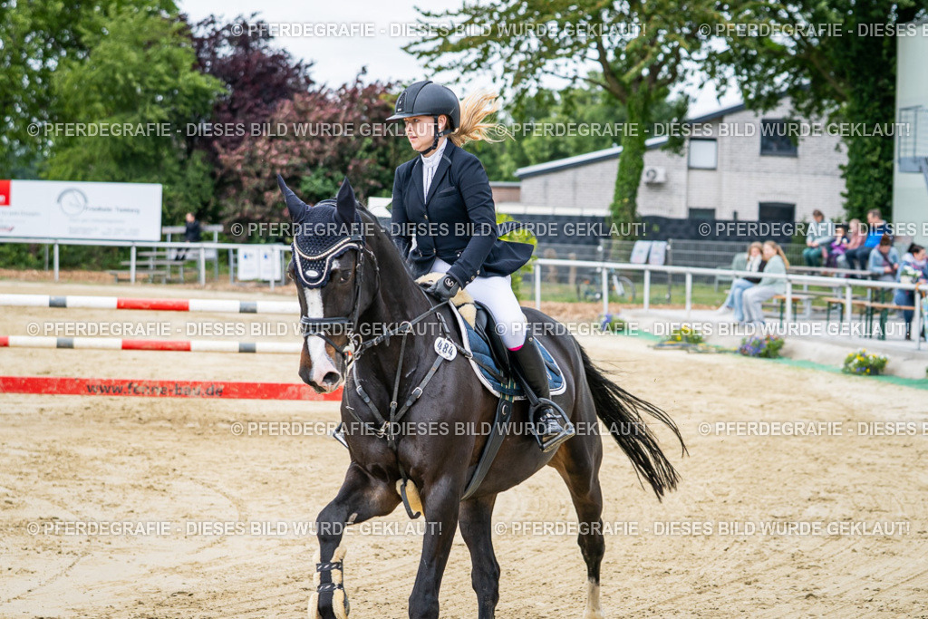 DSC04320 | Pferdegrafie