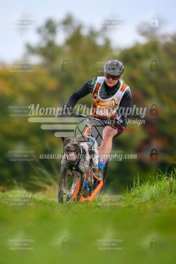 MompixPhotography_CDLBDB2025_DI_DS-53 | PayLife