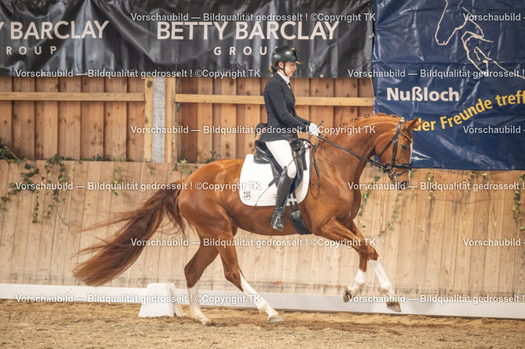 _D5A8614 | Emotionale Pferde- & People-Fotografie rund um Heidelberg, Leimen & Umgebung. Natürliche Fotos von Pferd, Mensch & Familie. Jetzt Termin sichern!