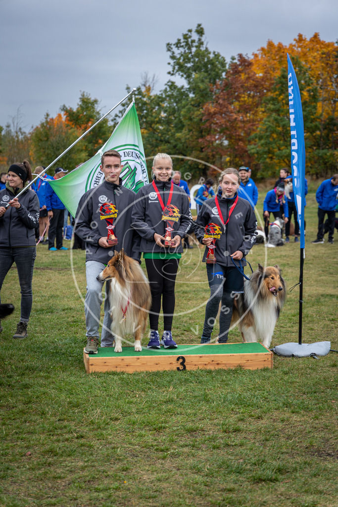 Pfotenfotografie_0L8A0687 | Hundefotografie, Tierfotograf, Pfotenfotografie, Fotoshooting Hund, Hunde Portrait, Hundesport, Hundeportraits, Heideshooting, Hunde, Sportfotograf, Hundefotograf, Turnierhundsport, THS,  - Realisiert mit Pictrs.com