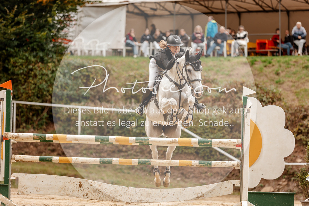 3I6A8024 | Stimmungsvolle Portraits und Reitsportfotografie im Ruhrgebiet und im Münsterland.

Pferdefotografie, Hundefotografie, Tierfotografie, Reportagen, Portraits von Tier und Mensch, Turnierfotografie in Bochum, Recklinghausen, Marl, Haltern am See, Dülmen.. - Realisiert mit Pictrs.com