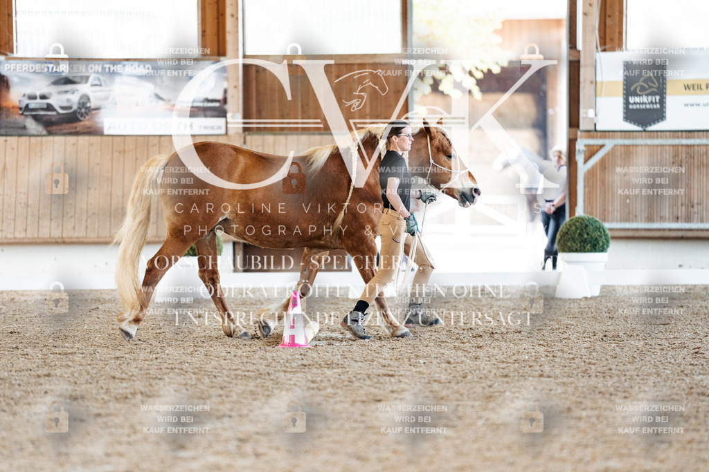 CK905933 | Turnierfotografie Pferdefotografie Trier Rheinland-Pfalz Pferdesport Reitsport Tierfotografie Sportfotografie Pferdevideo Pferdevideografie Equestrianvideography equestrianphotography  - Realisiert mit Pictrs.com