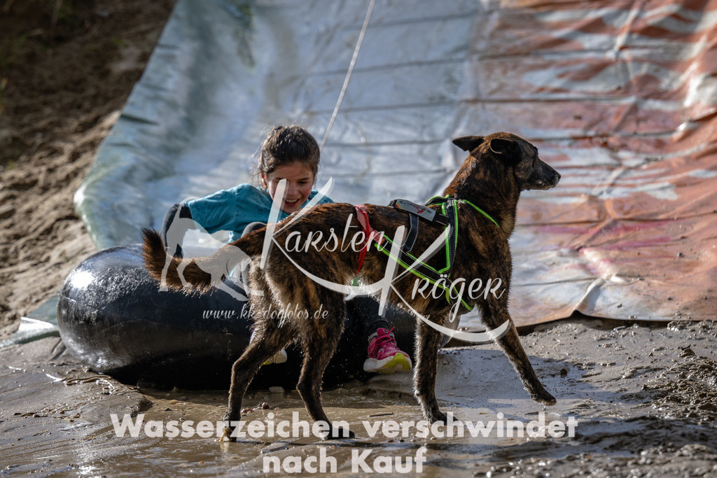 1547_ZZ91335 | kk-dogfotos