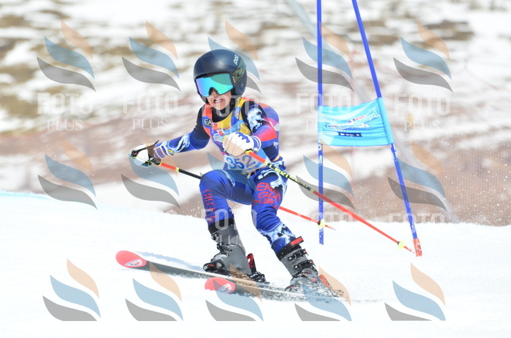 _ELE2694 | holidayphoto